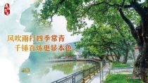 水翁
